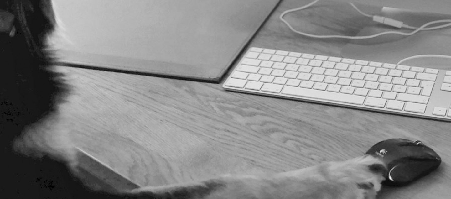 Den Hund am Arbeitsplatz mit Computer