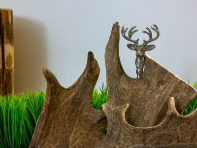 Echgewih für den Hund vor dekorativem Hintergrund