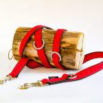 Hundeleine Farbe rot