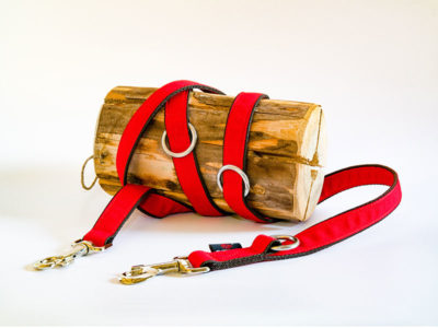 Hundeleine Farbe rot