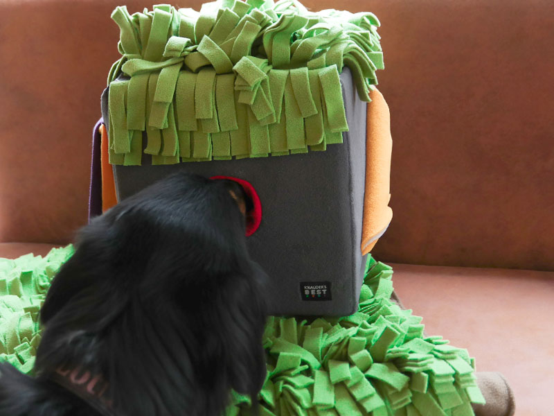 PB_Sniffbox_Anwendung Nasenarbeit für den Hovawart an der Snif-Box von Knauders Best, reine Handarbeit