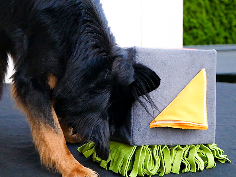 Schnueffelbox_Anwendung_Knauders_Hovawart Schnüffelbox von Knauders groß mit einem Hovawart, reine Handarbeit