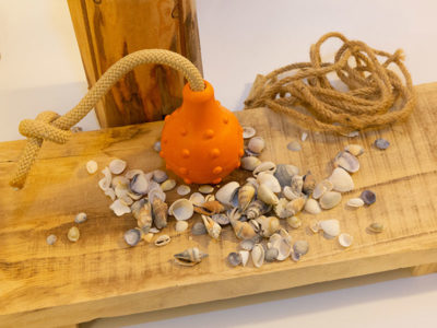 Schwimmendes Hundespielzeug EDDY vor einem dekorativen Hintergrund