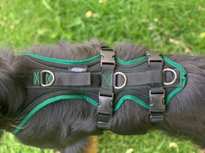 Grossenbacher Support Geschirr