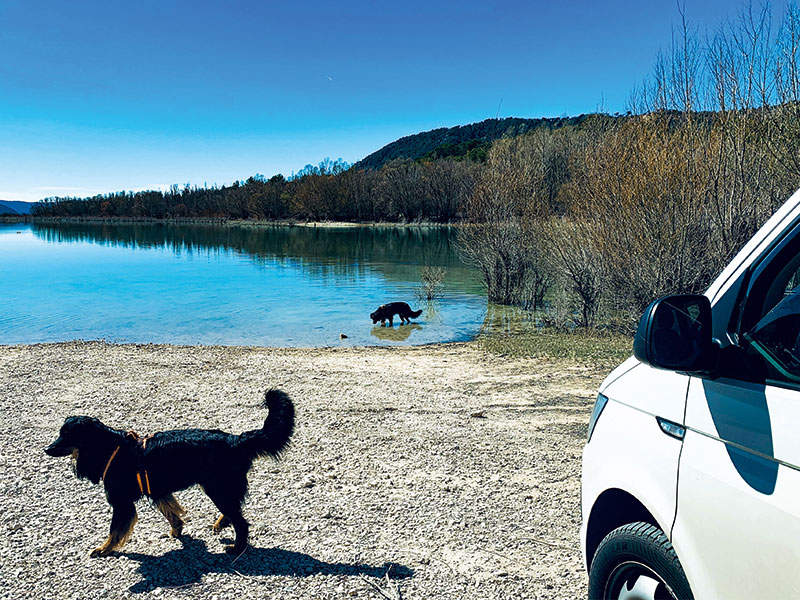 Reisen mit dem Hovawart