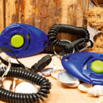 Clicker vor dekorativem Hintergrund