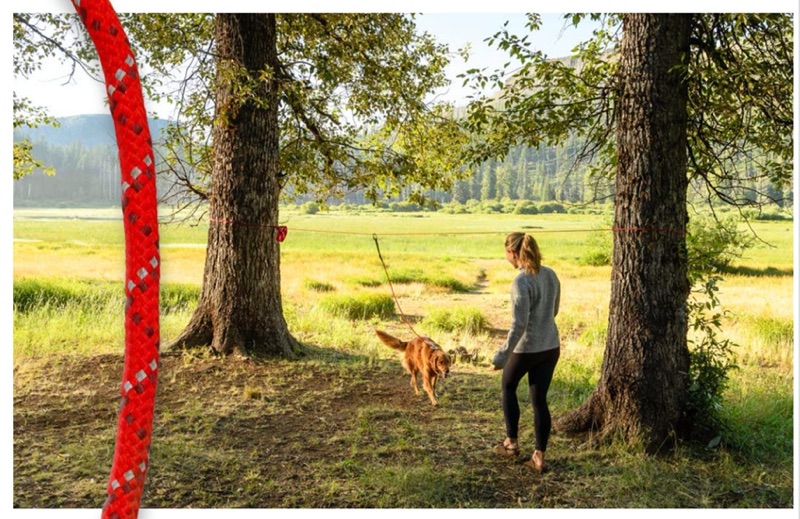 SF_Knot_a_hitch_hovawart2