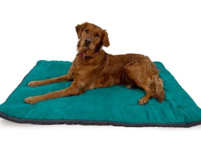 Hundebett für unterwegs