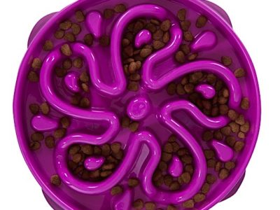 Der Anti Schlingnapf