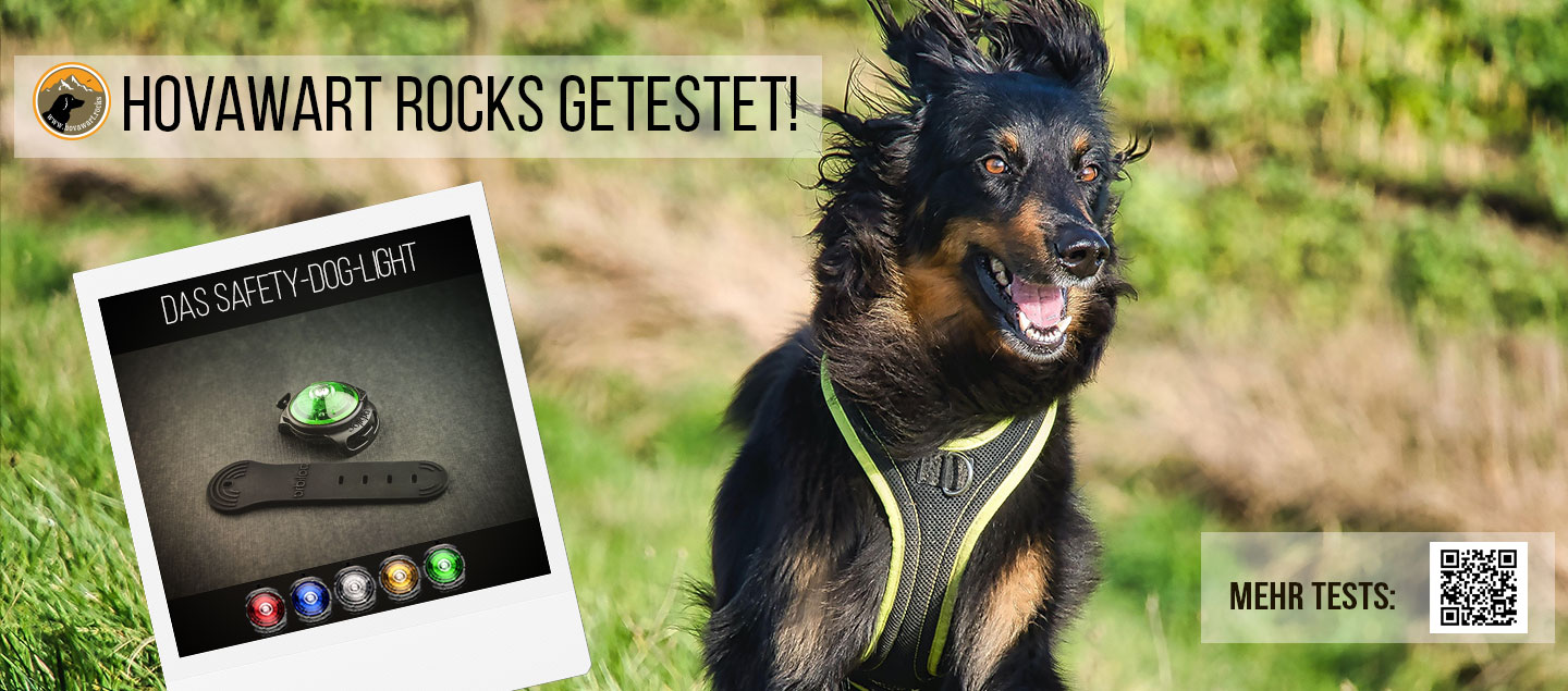 Das Safety Dog Light