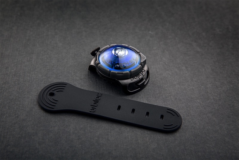 hovawart_dog_safety_light_orbiloc12 Dog Light blau