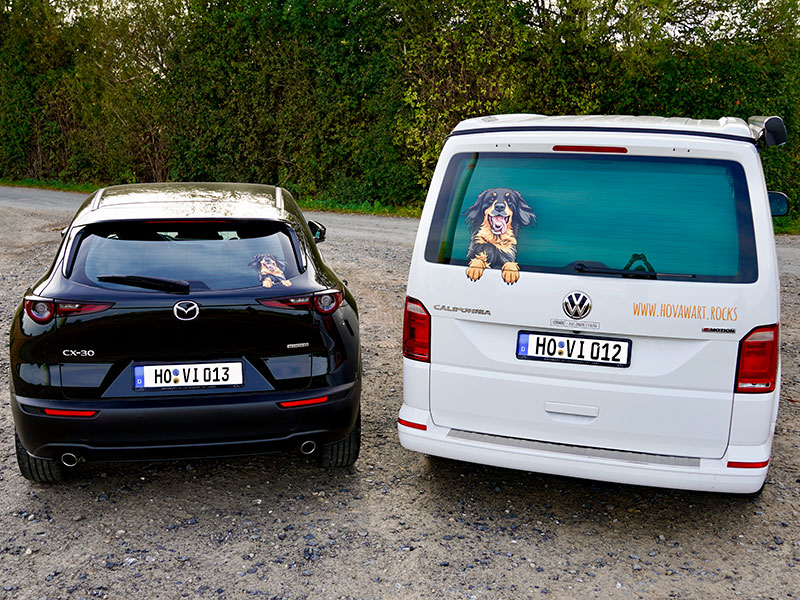 Autoaufkleber_L_und_S Hovawartaufkleber in zwei Größen auf einem VW Bus und einem Mazda CX30