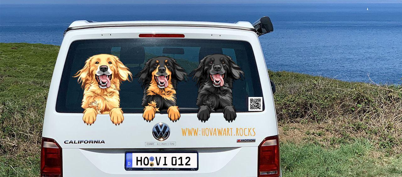 Hovawart Aufkleber in drei Farben auf einem Auto