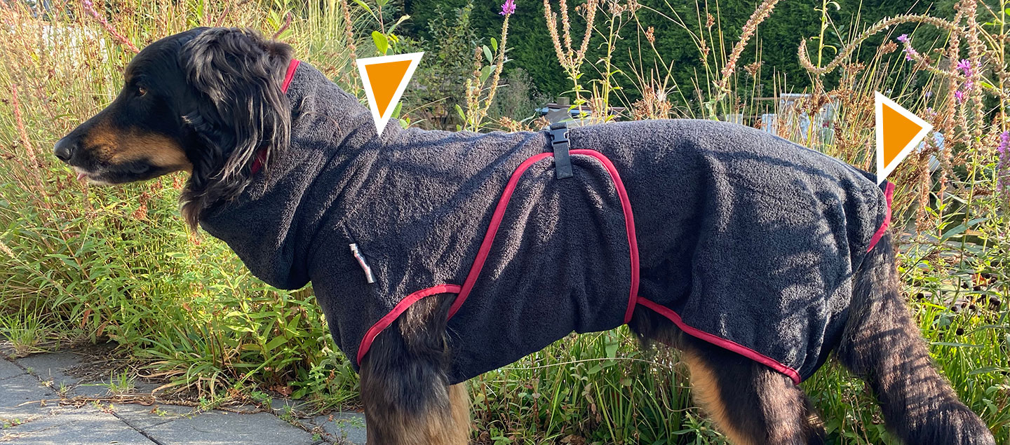 Hovawart mit Bademantel or einem Teich