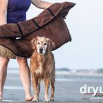 Hundehandtuch für den Hovawart