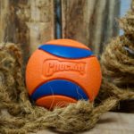 Chuckit Ultra Ball