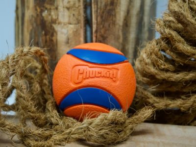 Chuckit Ultra Ball
