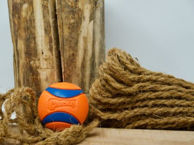 Chuckit Ultra Ball