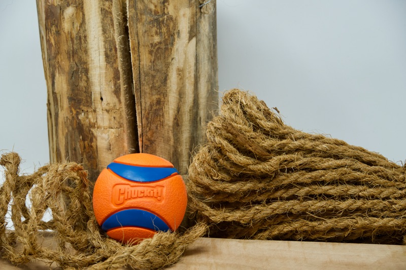 Chuckit Ultra Ball Chuckit Ultra Ball