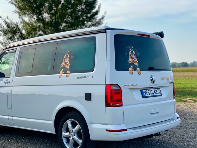 SP_Hovawart_Aufkleber1 Hochwertiger Aufkleber Hovawart