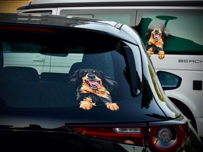 Hovawart Aufkleber auf zwei Autos