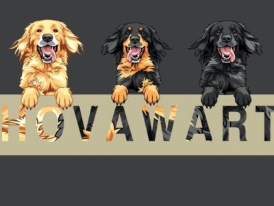 Aufkleber der Rasse Hovawart