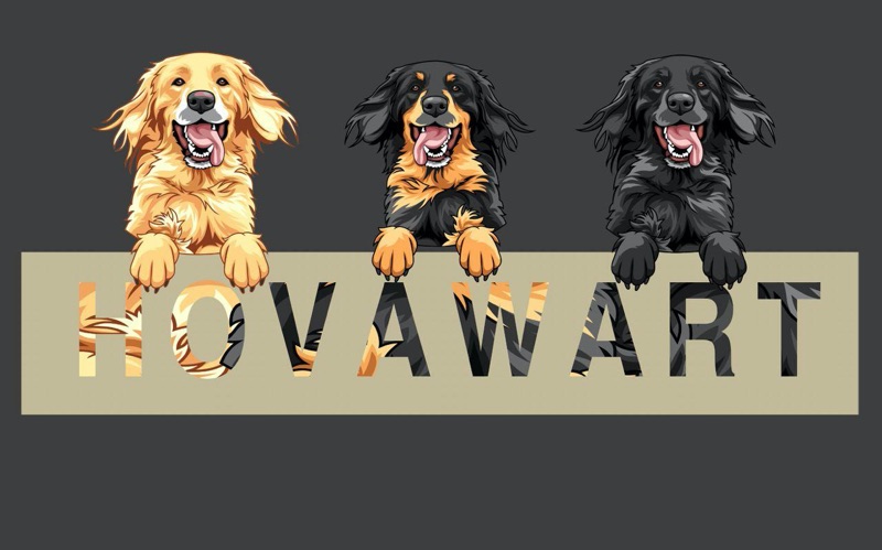 Aufkleber Rasse Hovawart2 Aufkleber der Rasse Hovawart