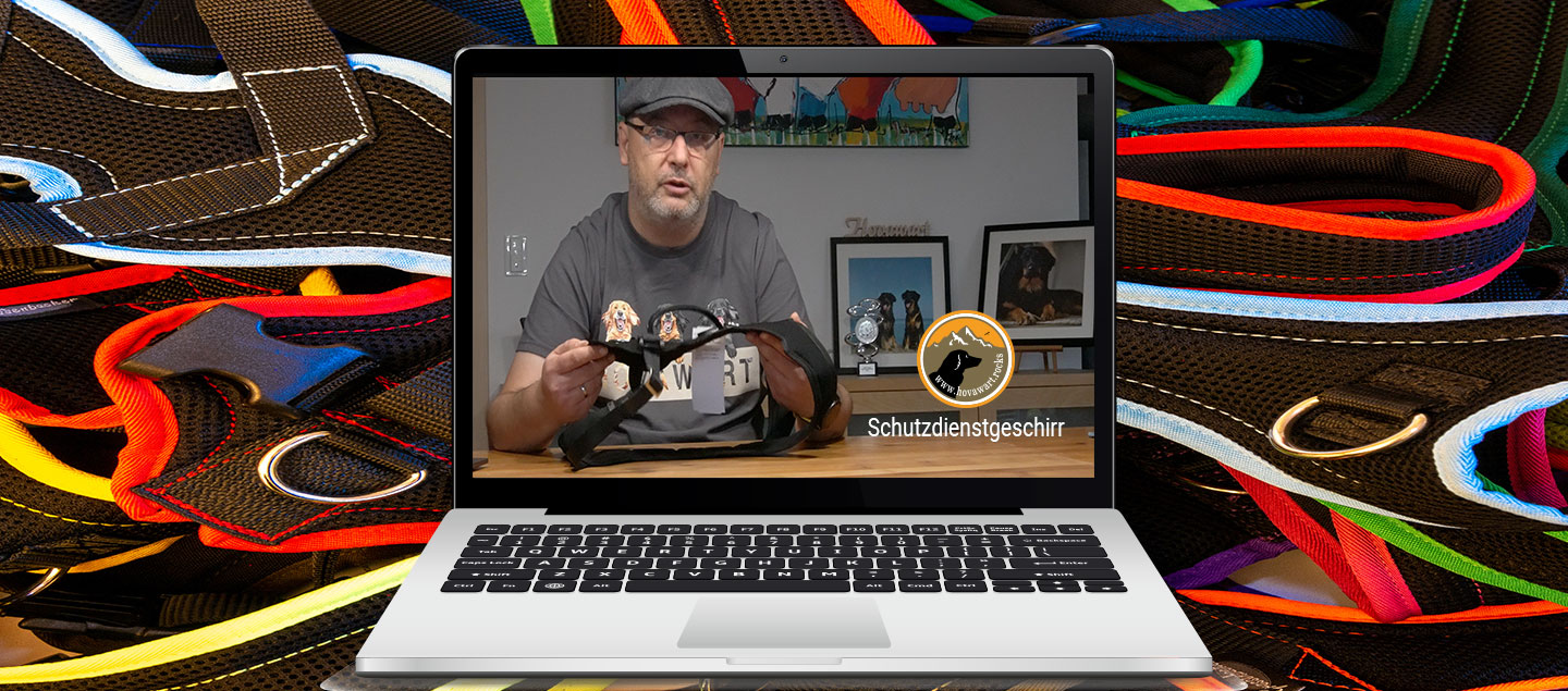 Schutzdienstgeschirr für den Hovawart