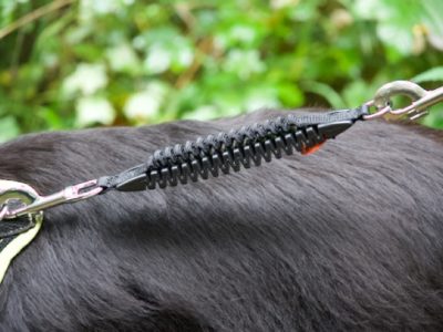 Zugstopper für die Hundeleine an einem Hovawart