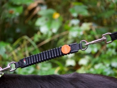 Zugstopper für die Hundeleine