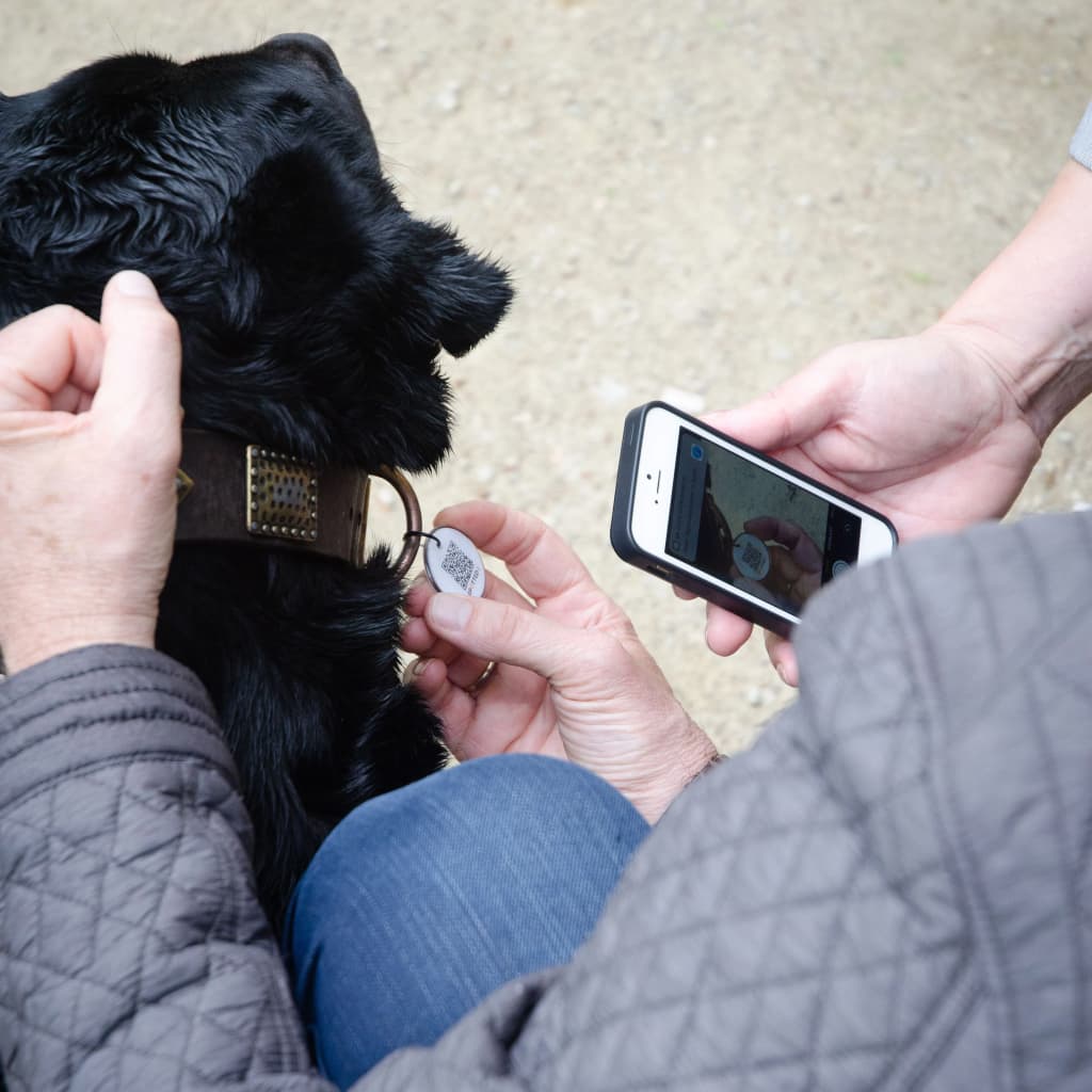 Hovawart Hundemarke mit QR Code für ein schnelles auffinden deines Hundes