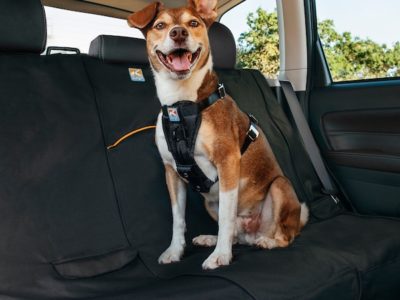 Rücksitzbank Schutz für dein Auto