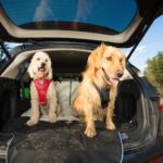 Kofferraumschutz beige