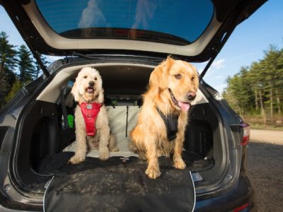 Kofferraumschutz beige