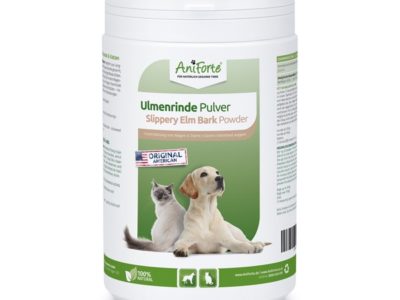 Ulmenrinde Natürliche Unterstützung für den Magen-Darm-Trakt