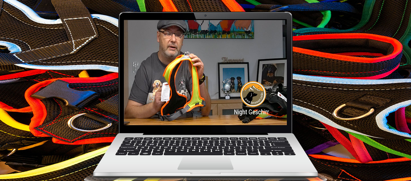 Night Geschirr für Grossenbacher wird vorgestellt