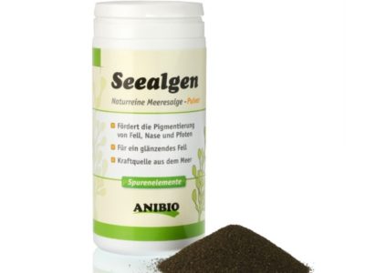 Seealgen fördern die Pigmentierung der Nase, der Augen und des Fells, sie wirken sich förderlich auf die Verdauung aus (bestmögliche Futterverwertung)