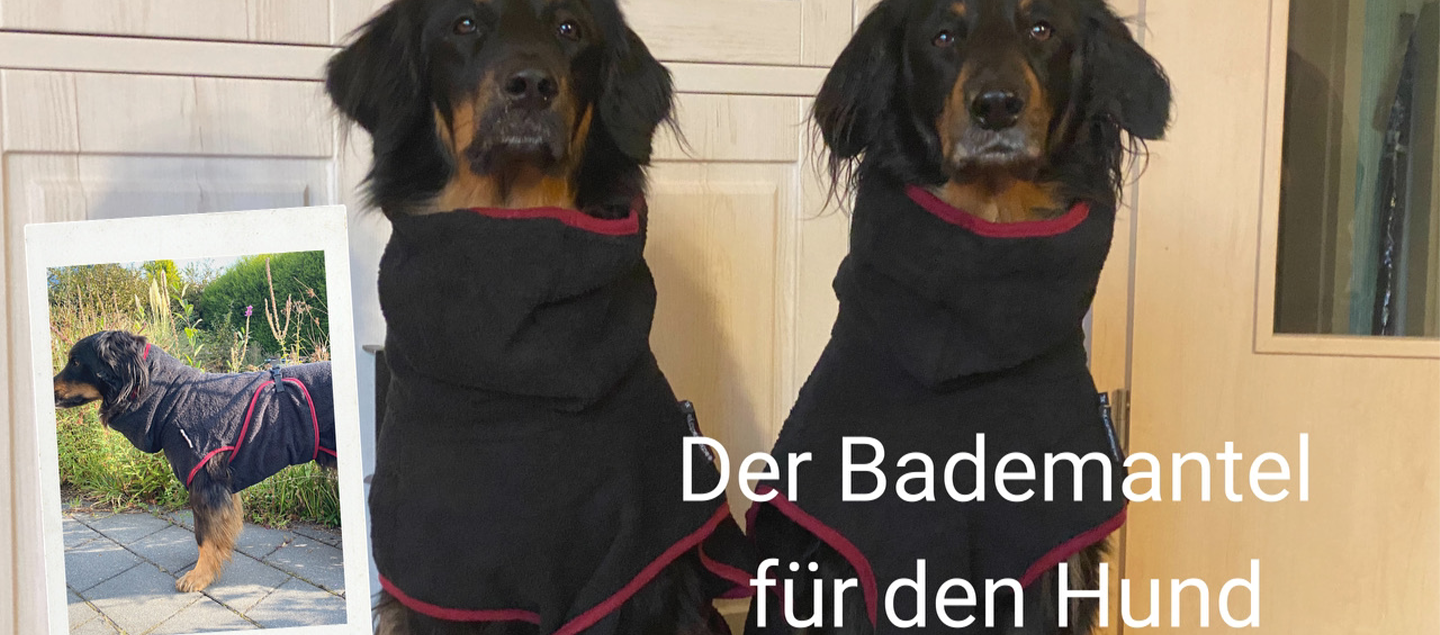 Zwei Hovawarte mit einem Bademantel