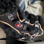 Grossenbacher Travel Geschirr als Support