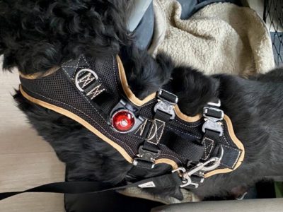 Grossenbacher Travel Geschirr als Support