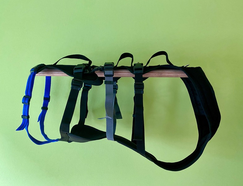 Grossenbacher XLong für kranke Hunde3 XLong Geschirr für Hunde mit einer geschwächten Hinterhand