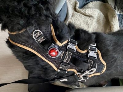 Travel Geschirr fürs Auto