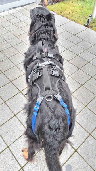 Geschirr für alten und kranken Hund3 Geschirr zur Unterstützung von alten und kranken Hunden