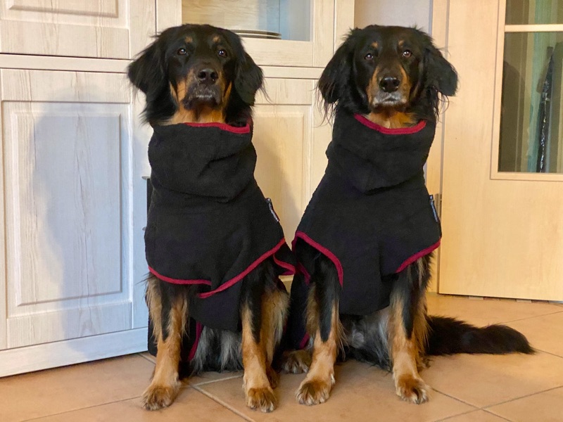 Hovawart für große Hunde1 Der Hundebademantel f+r grosse und lange Hunde