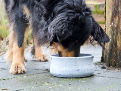 natürliche Kühleigenschaft und Frischhaltefunktion