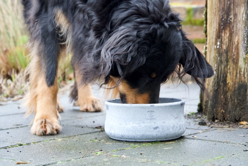 Napf_Hovawart_gross und edel4 natürliche Kühleigenschaft und Frischhaltefunktion