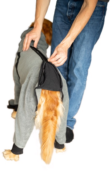 Bademantel Hovawart1 Bademantel für den Hovawart mit Beinen