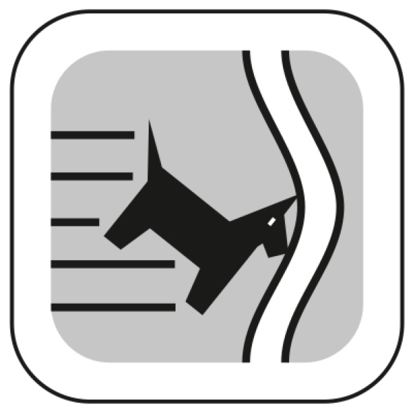 Hunde_Auto_Bix_Hovawart1