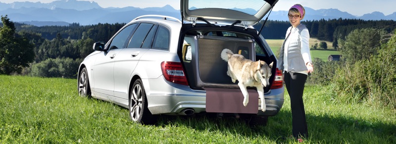 Hundebox Kofferraum für große Hunde wie den Hovawart Hund spring aus der Tami Hundebox