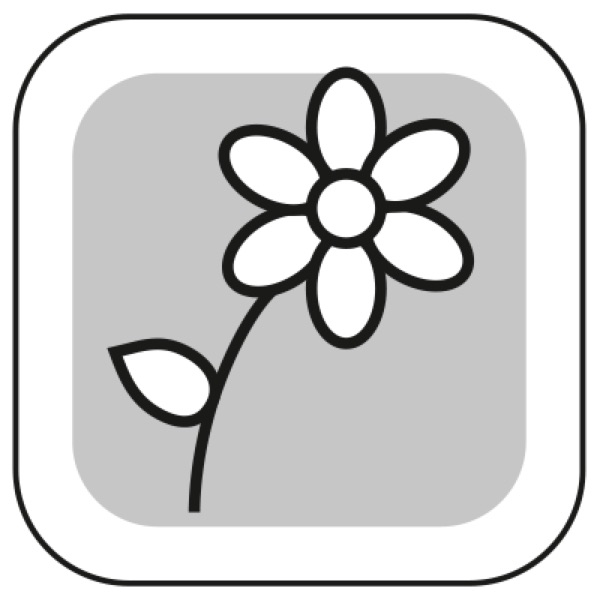 Hunde_Auto_Bix_Hovawart6